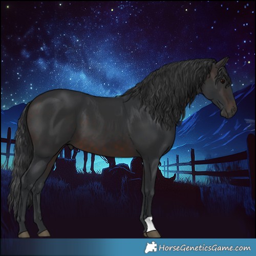 Horse Color:Brown 