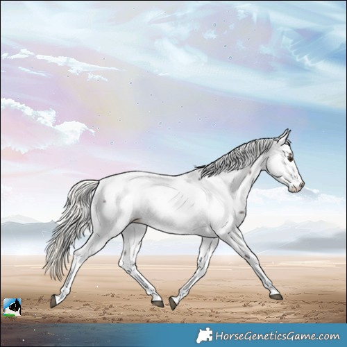 Horse Color:Liver Red Roan Mushroom Fewspot