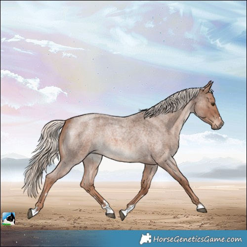 Horse Color:Red Roan Mushroom 