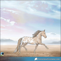 Horse Color:Smoky Creme Skewed Appaloosa Rabicano