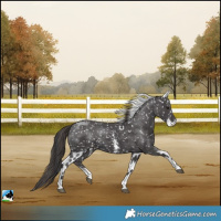 Horse Color:Smoky Black Sabino Skewed LP Spotted 