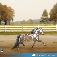 Horse Color:Brown Dun Skewed LP Spotted