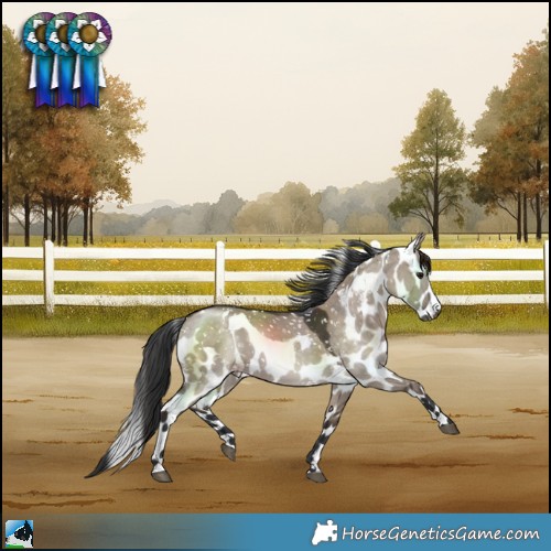 Horse Color:Brown Dun Skewed LP Spotted 
