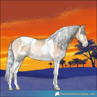Horse Color:Watercolor White Spotted Silver Smoky Blue Onyx Pearl Tobiano Rabicano 
