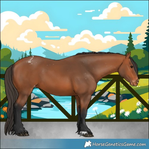 Horse Color:Bay Varnish 