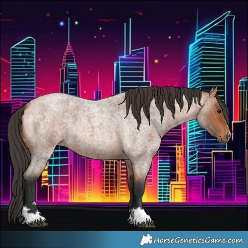 Horse Color:Bay Roan 