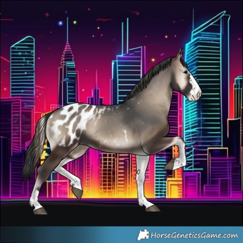 Horse Color:Blue Onyx Blanket 