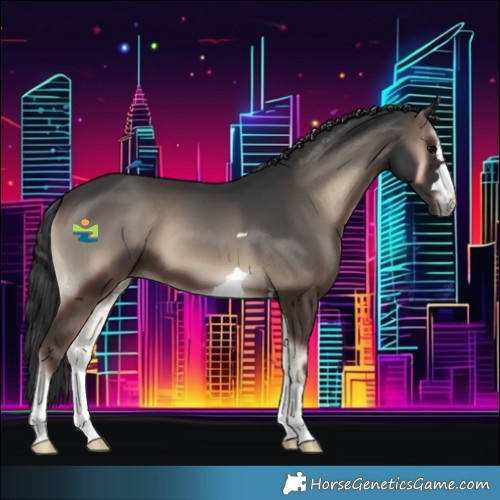 Horse Color:Blue Onyx 