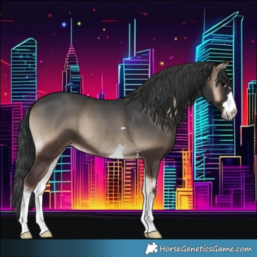 Horse Color:Blue Onyx 