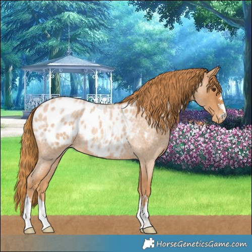Horse Color:Red Roan Blanket 