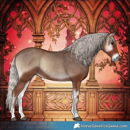 Horse Color:Silver Blue Onyx