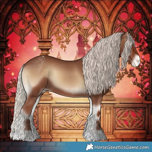 Horse Color:Silver Blue Onyx Appaloosa