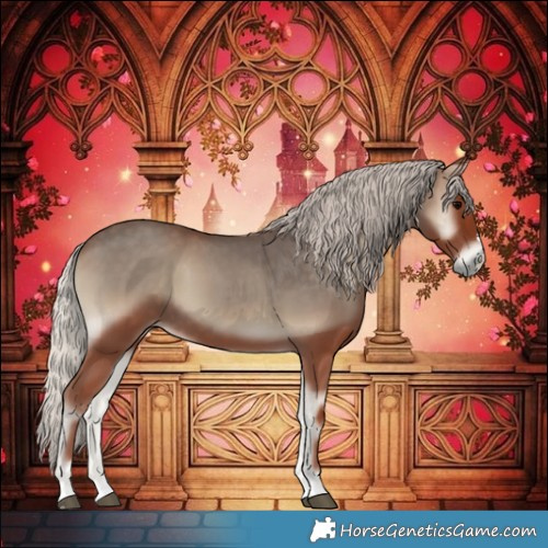 Horse Color:Silver Blue Onyx 