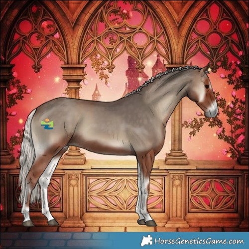 Horse Color:Silver Blue Onyx 