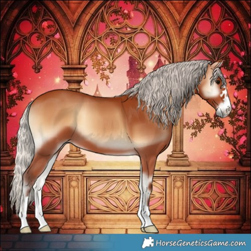 Horse Color:Silver Bay Onyx 
