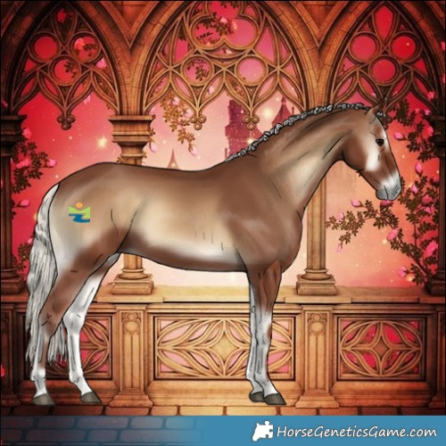 Horse Color:Silver Blue Onyx 