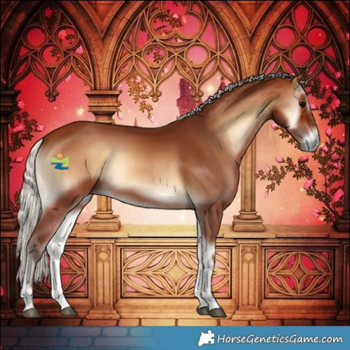 Horse Color:Silver Brown Onyx 