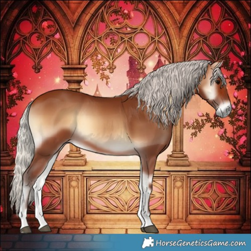 Horse Color:Silver Brown Onyx 