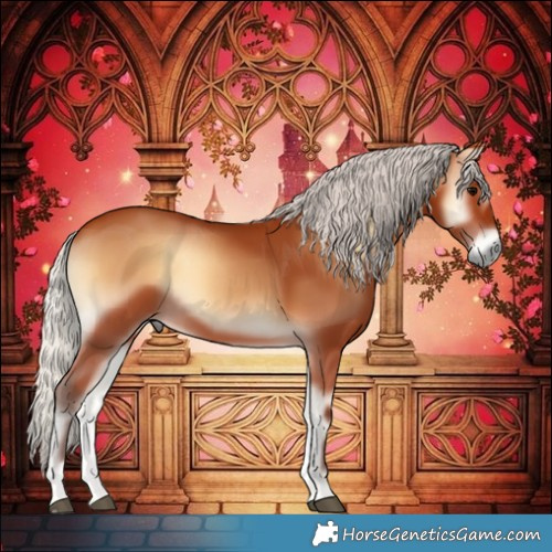 Horse Color:Silver Bay Onyx