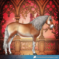 Horse Color:Silver Bay Onyx
