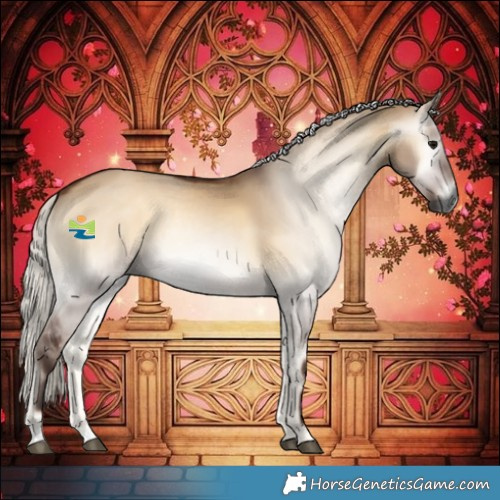 Horse Color:Gray Silver Bay Onyx 