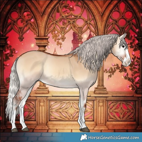 Horse Color:Silver Bay Onyx Splash 