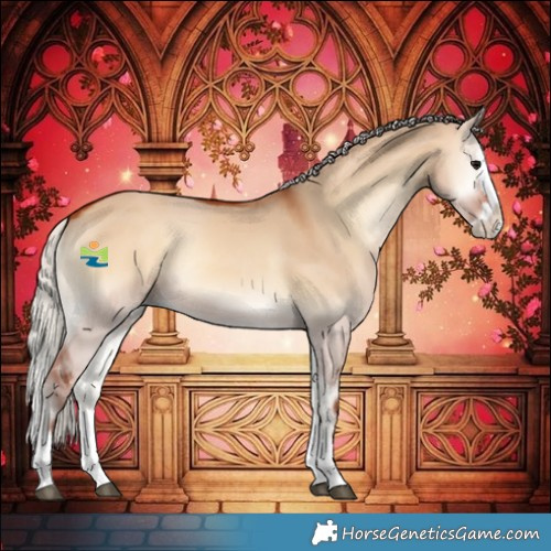 Horse Color:Silver Bay Onyx Splash 