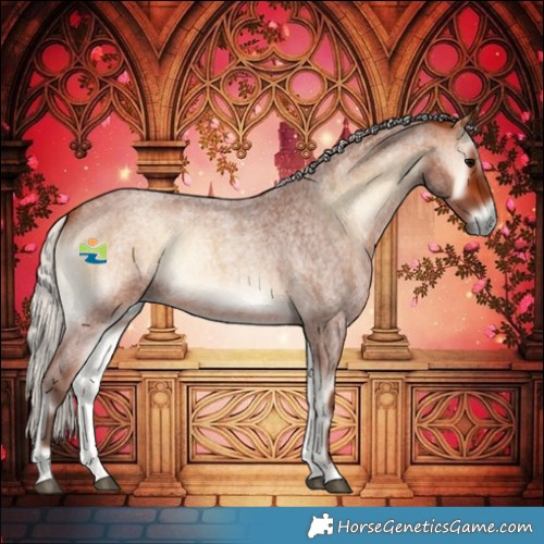 Horse Color:Silver Bay Roan Onyx 