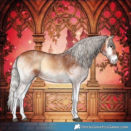 Horse Color:White Spotted Silver Bay Onyx 