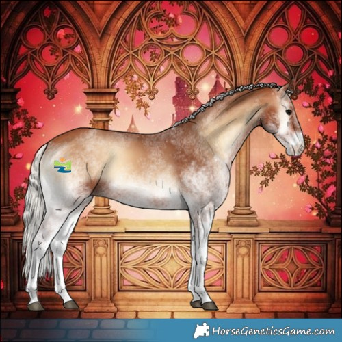 Horse Color:White Spotted Silver Bay Onyx 
