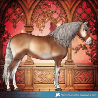 Horse Color:Silver Bay Onyx Frame 
