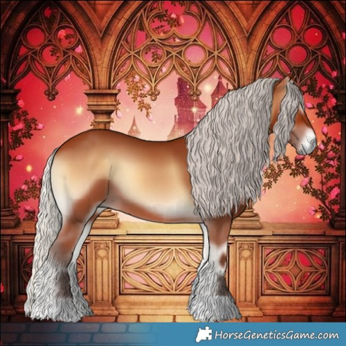 Horse Color:Silver Bay Onyx 