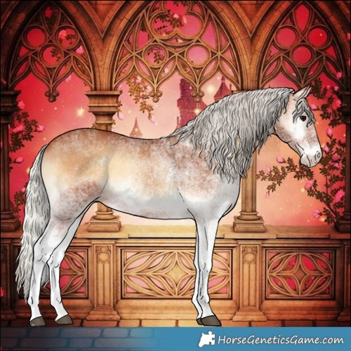 Horse Color:White Spotted Silver Bay Onyx 