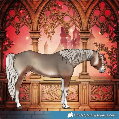Horse Color:Silver Blue Onyx 