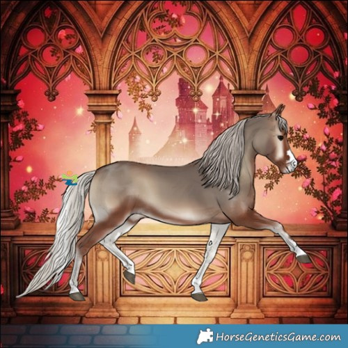 Horse Color:Silver Blue Onyx 