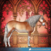 Horse Color:Silver Bay Onyx