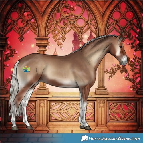 Horse Color:Silver Blue Onyx 