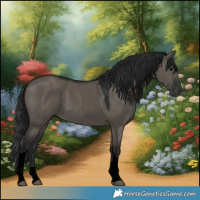 Horse Color:Gray Void Grullo Tobiano Rabicano 