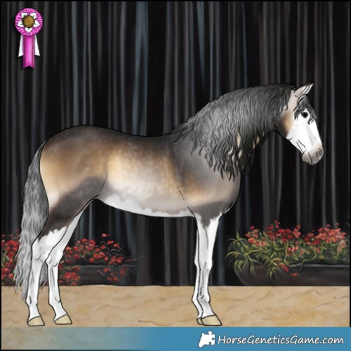 Horse Color:Gray Bay Onyx Splash Rabicano 
