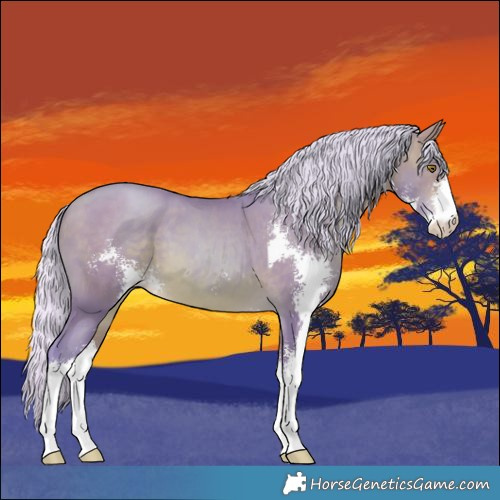 Horse Color:Watercolor Silver Brown Pearl Sabino 