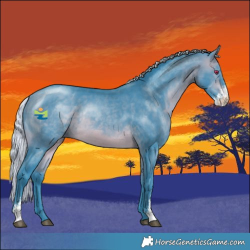 Horse Color:Watercolor Silver Bay Chinchilla Sabino Rabicano 