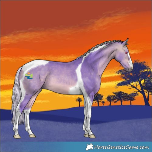Horse Color:Watercolor Silver Bay Chinchilla Tobiano 