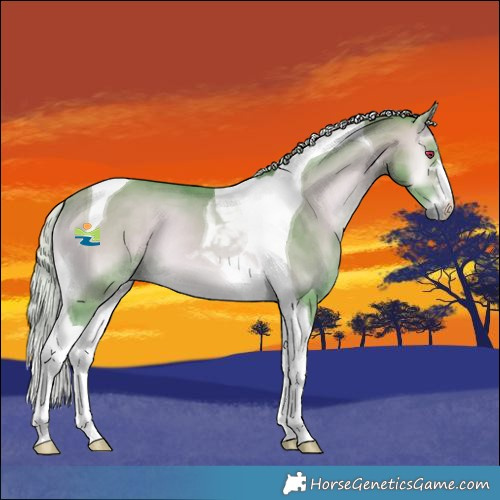 Horse Color:Watercolor Silver Bay Chinchilla Onyx Tobiano 