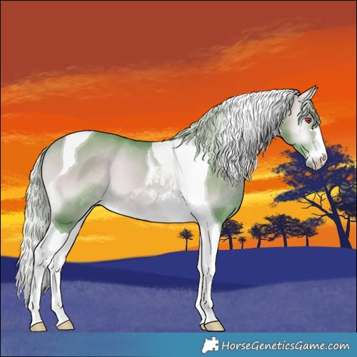 Horse Color:Watercolor Silver Bay Chinchilla Onyx Tobiano 