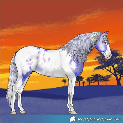 Horse Color:Watercolor Silver Brown Chinchilla Onyx Splash Tobiano Blanket 