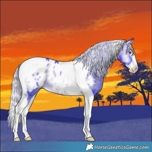 Horse Color:Watercolor Silver Brown Chinchilla Onyx Splash Tobiano Blanket