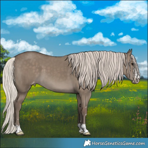 Horse Color:Silver Grullo Varnish 