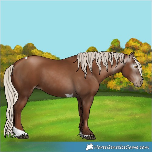 Horse Color:Gray Silver Black Pearl Tobiano 
