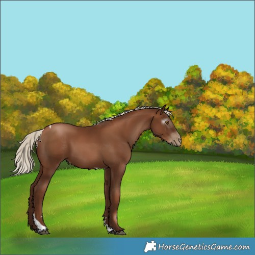 Horse Color:Gray Silver Black Pearl Tobiano 