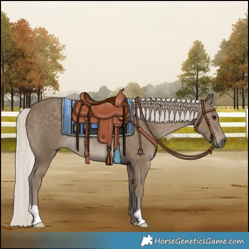 Horse Color:Silver Smoky Black Rabicano 
